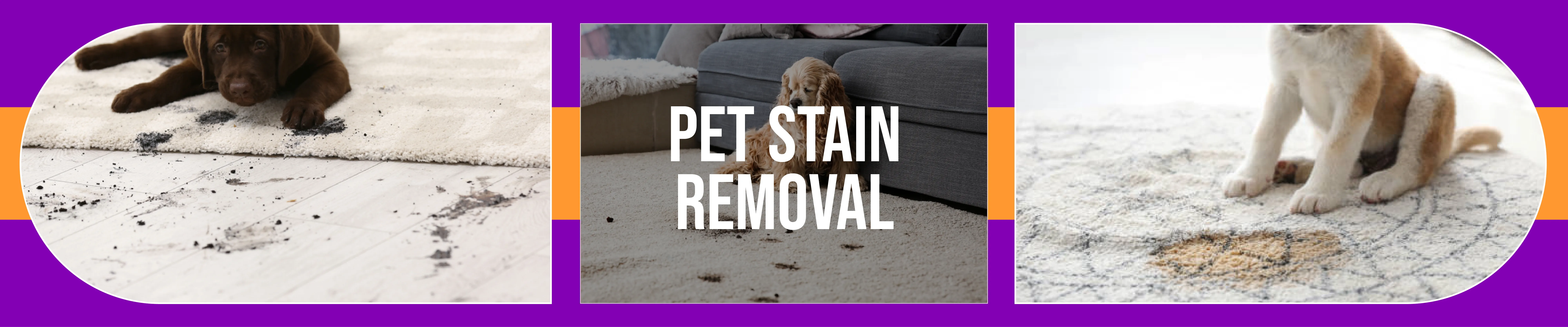 carpet cleaning in Bronx, carpet cleaner in Bronx, carpet cleaners in Bronx, carpet cleaners in Bronx, drapery cleaners in Bronx, carpet cleaning in Bronx, mattress cleaning in Bronx, mattress cleaners in Bronx, commercial carpet cleaning, commercial carpet cleaners in Bronx, Bronx rug cleaners, rug cleaning services in Bronx same day carpet cleaning, same day rug cleaning